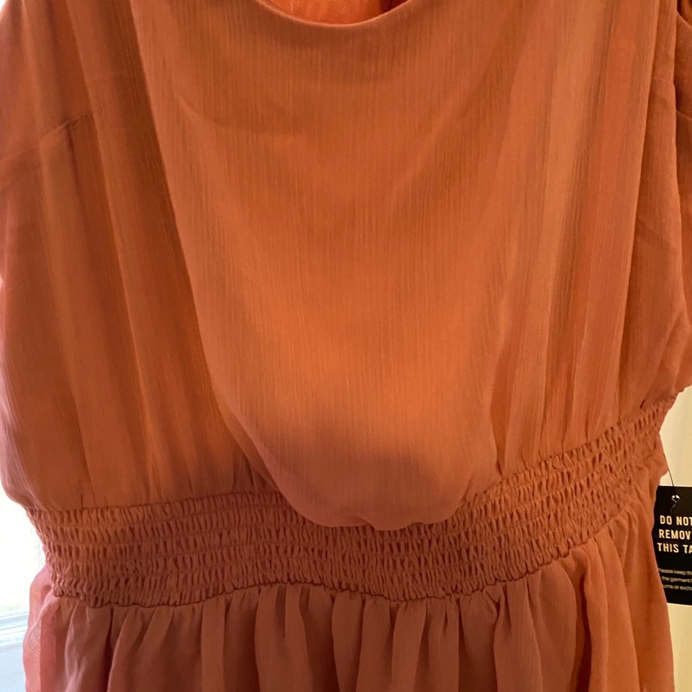 Express Dress - Picture 2 of 2